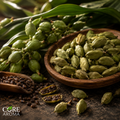 Cardamom CO2 Abs | Natural Cardamom Extract for Spicy, Fresh & Aromatic Fragrances