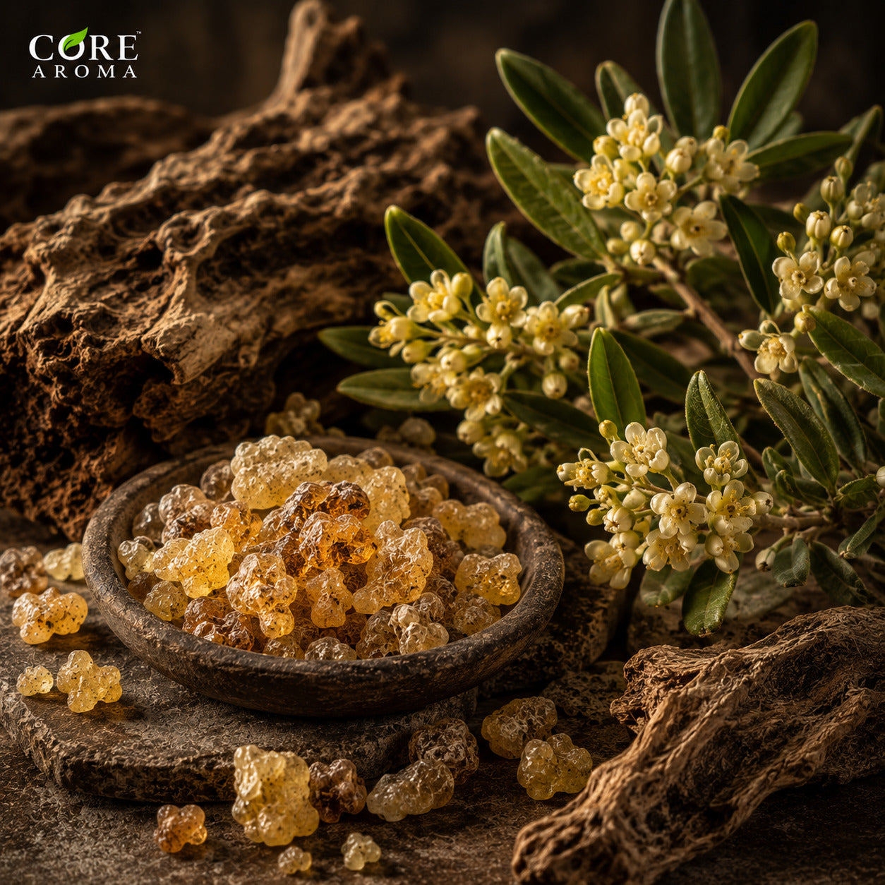 Olibanum Absolute | Warm, Resinous, Woody & Incense Fragrance Note