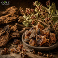 Opoponax Resin Pure | Sweet, Balsamic, Warm & Resinous Fragrance Note