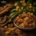 Elemi Resinoid Pure | Fresh, Resinous, Citrus & Peppery Fragrance Note