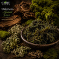 Oakmoss Absolute Green | Mossy, Earthy, Woody & Green Fragrance Note