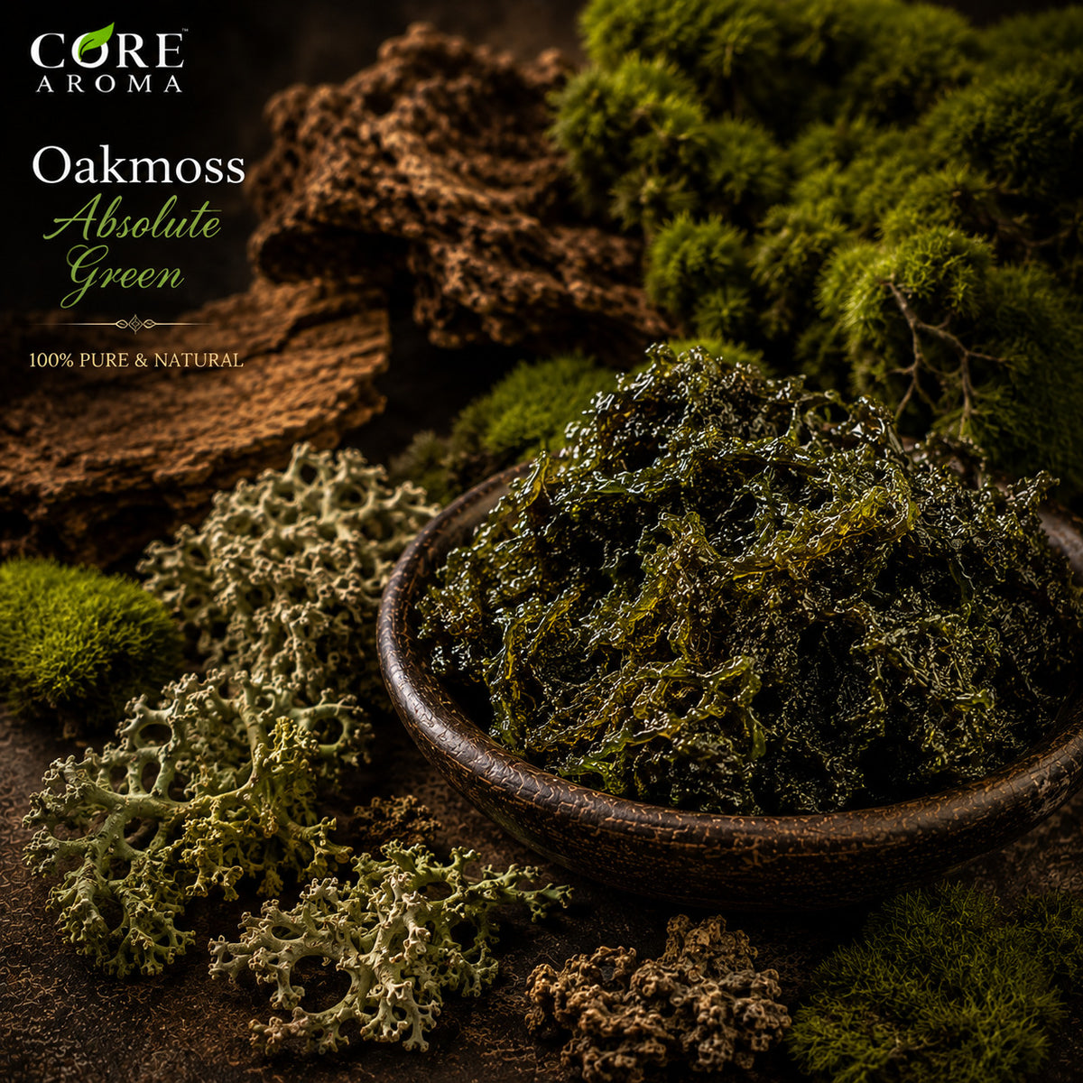 Oakmoss Absolute Green | Mossy, Earthy, Woody & Green Fragrance Note