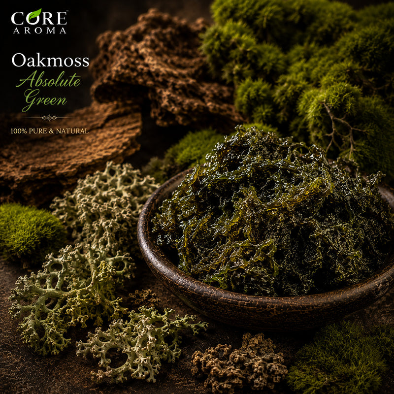 Oakmoss Absolute Green | Mossy, Earthy, Woody & Green Fragrance Note