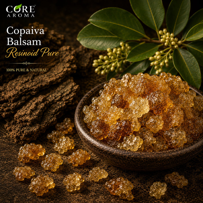 Copaiva Balsam Resinoid Pure | Balsamic, Woody & Warm Resinous Note