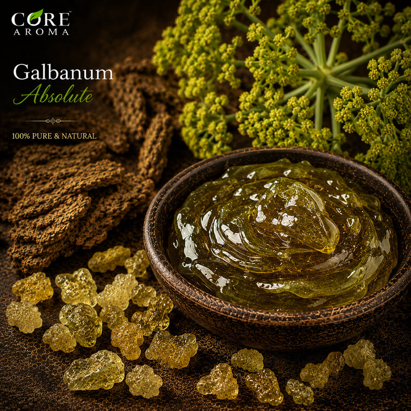 Galbanum Absolute | Green, Herbal, Resinous & Earthy Fragrance Note