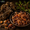 Myrrh Absolute | Warm, Balsamic, Resinous & Smoky Fragrance Note