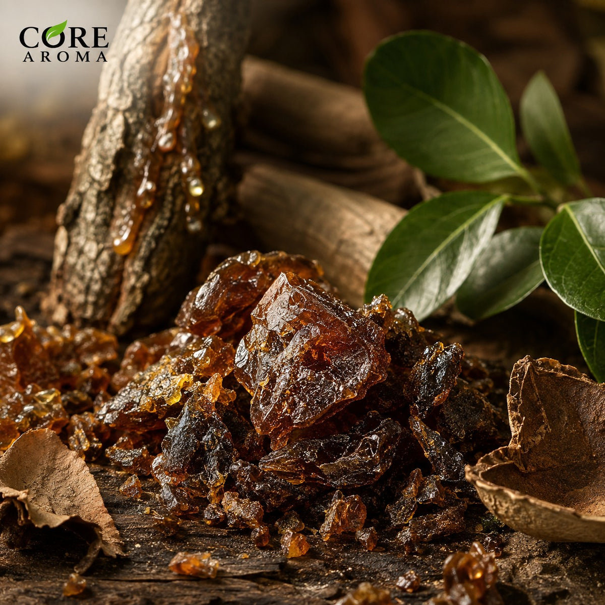 Peru Balsam Resinoid Pure | Sweet, Balsamic, Vanilla & Warm Resin
