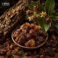 Tolu Balsam Resinoid Pure | Sweet, Balsamic & Vanilla-Like Resin