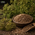 Cumin Oil | Warm, Spicy, Earthy & Aromatic Cumin Essential Oil