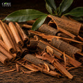 Cinnamon Bark Oil | Warm, Spicy, Sweet & Rich Cinnamon Essential Oil