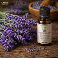 Lavender Oil Bulgarian | Floral, Fresh, Herbal & Aromatic Lavender Oil