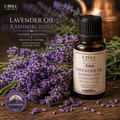 Lavender Oil Kashmiri India | Fresh, Floral, Herbal & Aromatic Lavender Oil