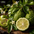 Bergamote Oil Pure | Fresh, Citrus, Green & Elegant Bergamot Essential Oil