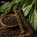 Black Pepper Oil | Spicy, Fresh, Woody & Warm Black Pepper Essential Oil