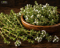 Thyme White Oil | Fresh, Herbal, Spicy & Aromatic Essential Oil