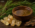 Turpentine Oil | Fresh, Piney, Resinous & Woody Essential Oil