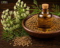 Carrot Seed Oil | Earthy, Woody, Herbal & Warm Essential Oil