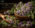 Clary Sage Accord | Herbal, Aromatic, Green &  Warm Clary Sage Fragrance Accord