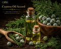 Cypress Oil Accord | Fresh, Woody, Green & Aromatic Cypress Fragrance Accord