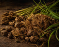 Nagarmotha Accord | Cypriol, Woody, Earthy, Smoky & Spicy Fragrance Accord