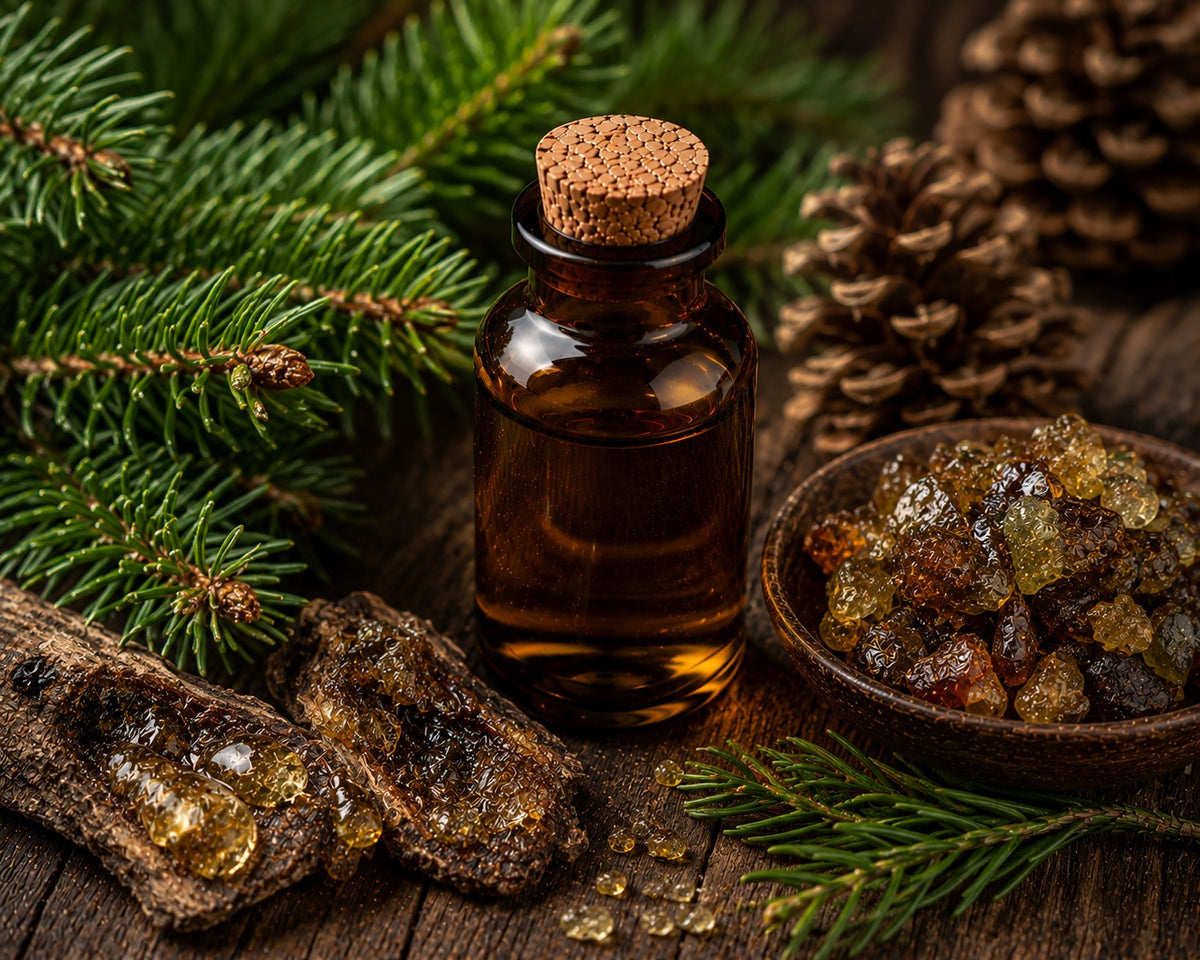Fir Balsam Accord | Fresh, Resinous, Woody & Coniferous Fragrance Accord