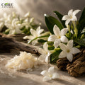 Fleuranil (IFF) | Ozone, Marine, Anisic & Herbal Fragrance Note