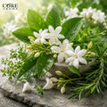 Jasmal (IFF) | Green, Herbal, Floral & Jasmine Fragrance Note