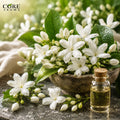 Jessemal (IFF) | Rich, Stable & Natural Jasmine Fragrance Note