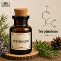 Terpinolene Aroma Chemical | Fresh Pine &; Citrus Terpene Note