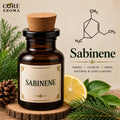 Sabinene Aroma Chemical | Fresh Pine & Spicy Terpene Note