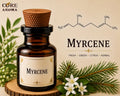 Myrcene Aroma Chemical | Green Citrus & Herbal Note