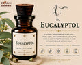Eucalyptol Aroma Chemical | Fresh Eucalyptus Note