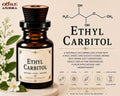 Ethyl Carbitol | Fragrance Solvent & Formulation Aid