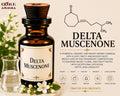 Delta Muscenone Aroma Chemical | Clean Musk Ingredient