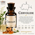Cervolide Aroma Chemical | Fruity Musk Fragrance Material