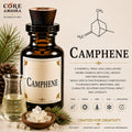 Camphene Aroma Chemical | Woody Camphoraceous | Core Aroma