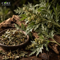 Armoise Oil | Herbal Essential Oil for Perfumery