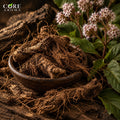Jatamansi Spikenard Oil | Earthy Woody Essential Oil