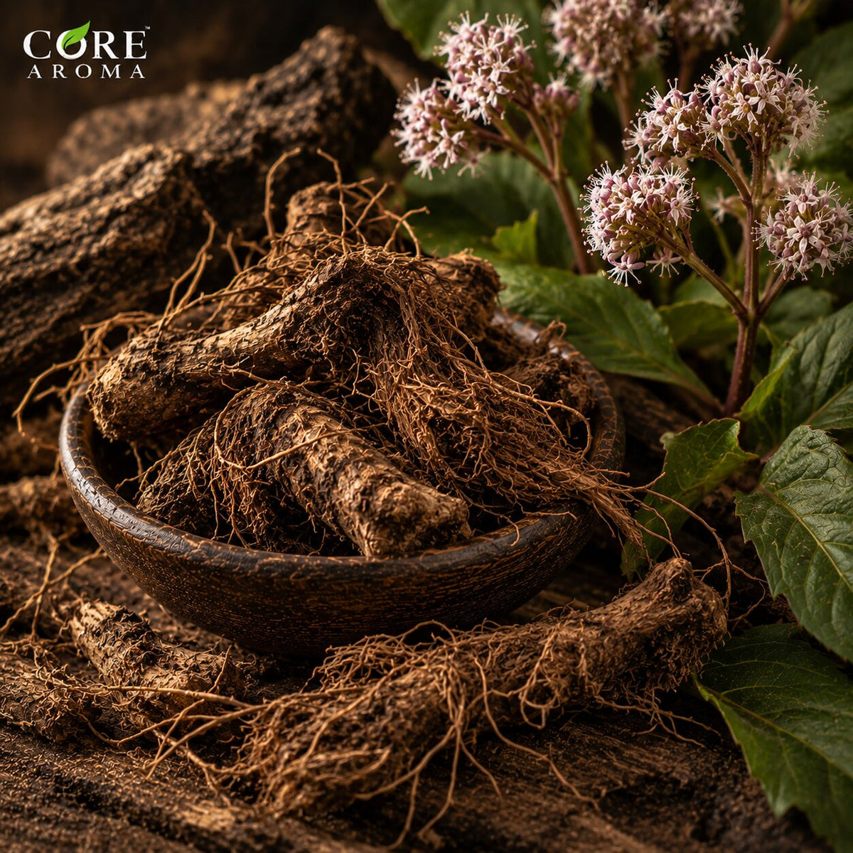 Jatamansi Spikenard Oil | Earthy Woody Essential Oil