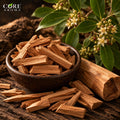 Sandalwood Oil Pure | Creamy Woody Essential Oil