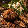 Boya Oil | Soft Woody Agarwood Oil for Perfumery