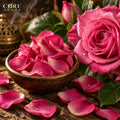Turkish Rose Oil Pink | Natural Rose Essential Oil