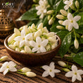 Jasmine Grand Flora (India) | Rich Floral Fragrance