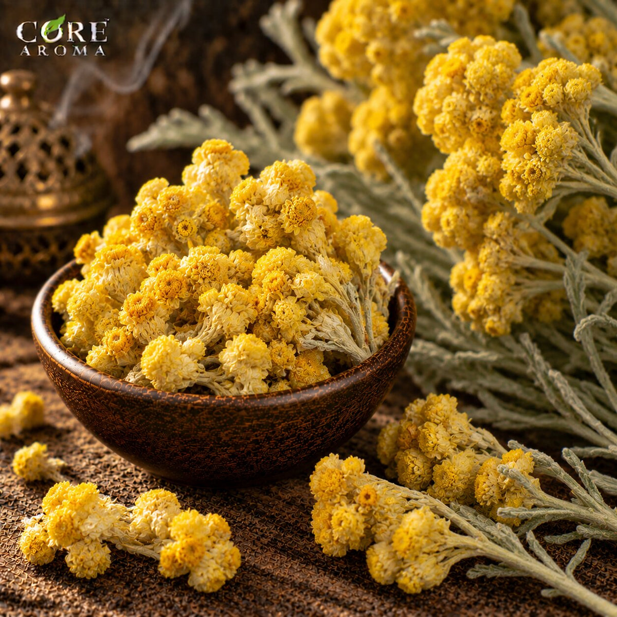 Helichrysum Oil (Morocco) | Herbal Honeyed Essential Oil