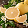 White Grapefruit Oil (USA) | Fresh Citrus Essential Oil