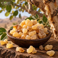 Frankincense Carteri Oil (Somalia) | Resinous Essential Oil