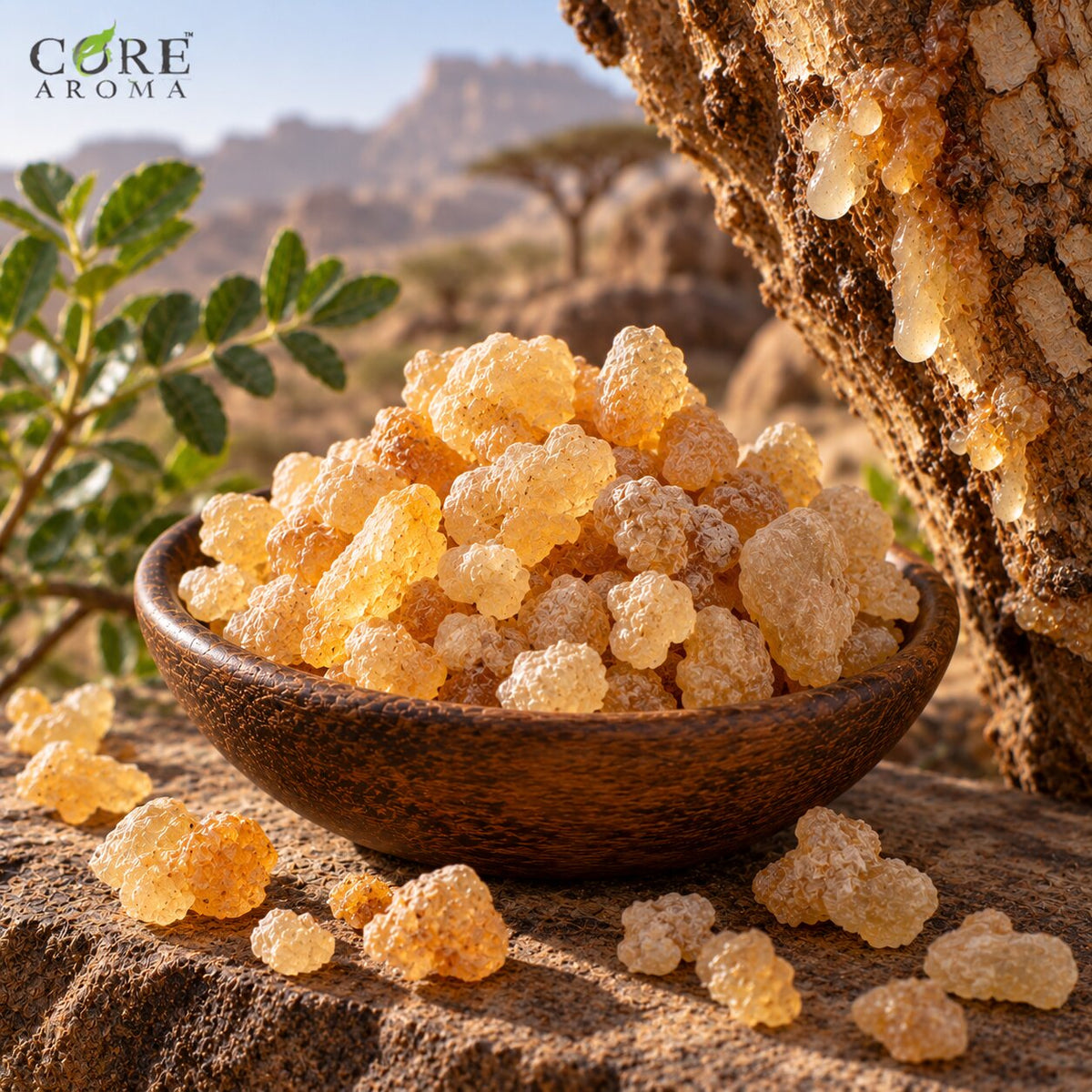 Frankincense Serrata Oil (India) | Resinous Essential Oil