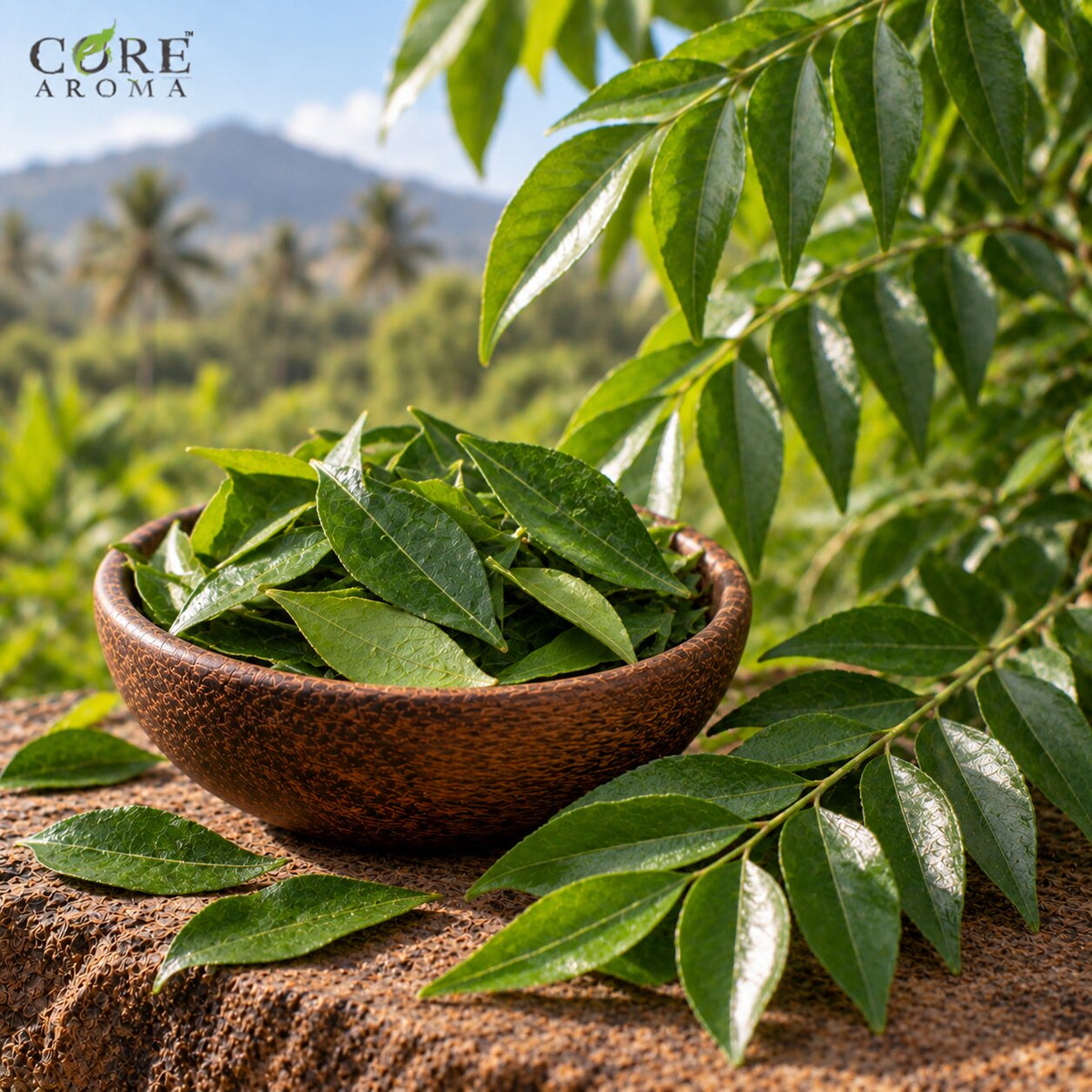 Curry Leaf Oil (India) | Green Herbal Essential Oil
