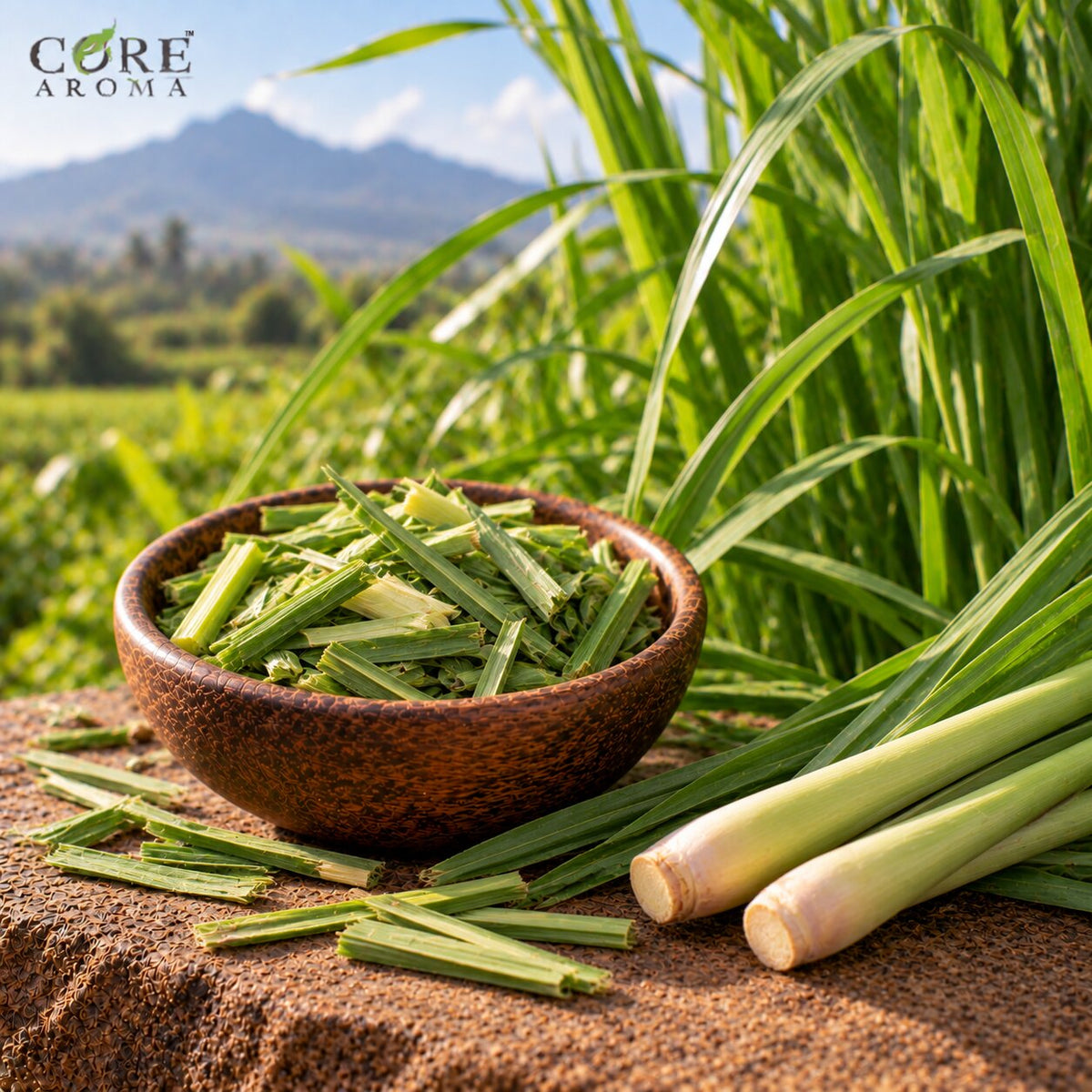 Citronella Oil (India) | Fresh Citrus Herbal Essential Oil