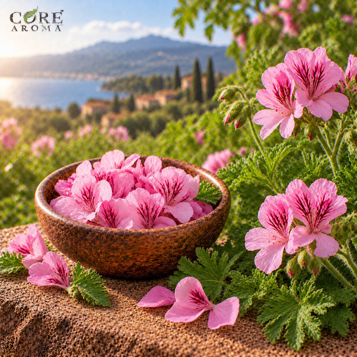 Rose Geranium Oil (Madagascar) | Rosy Floral Essential Oil